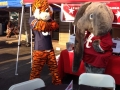 Boil Aubie Big AL